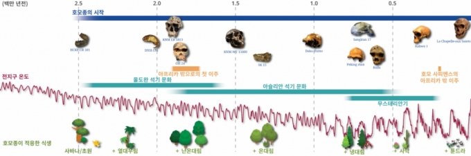 인류의 진화와 식생. / 사진=IBS(기초과학연구원)