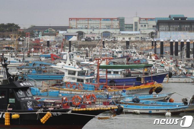 경기 화성시 궁평항에 어선들이 항구에 정박해 있는 모습.기사내용과 무관./사진=뉴스1