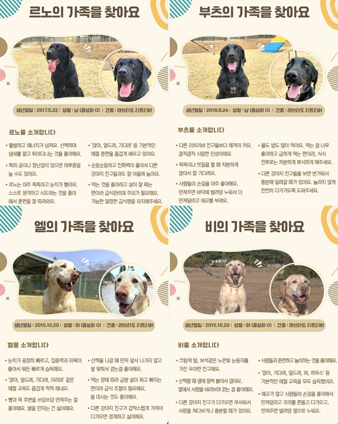 순둥순둥, 친화력 좋아 순둥순둥, 친화력 좋아