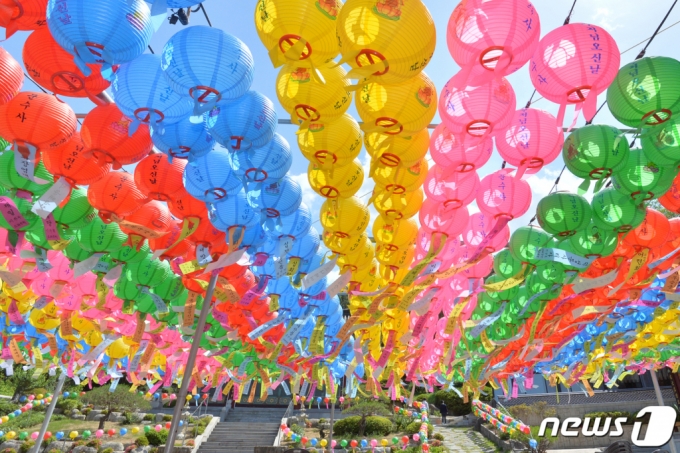 부처님 오신날을 앞둔 25일 오후 대한불교조계종 포항 문수사 경내에 오색 봉축등이 주렁 주렁 달려있다. /사진=뉴스1