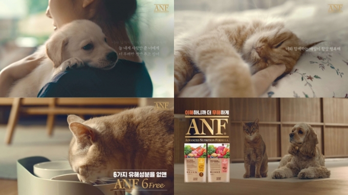 ANF 6Free ű  ķ/= 츮͢)
