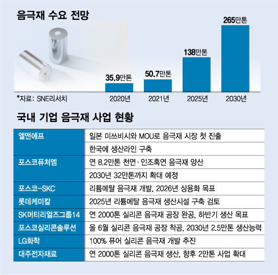 "중국 기다려라, 엘앤에프도 뛰어든다"...'메이드인코리아' 음극재 확장