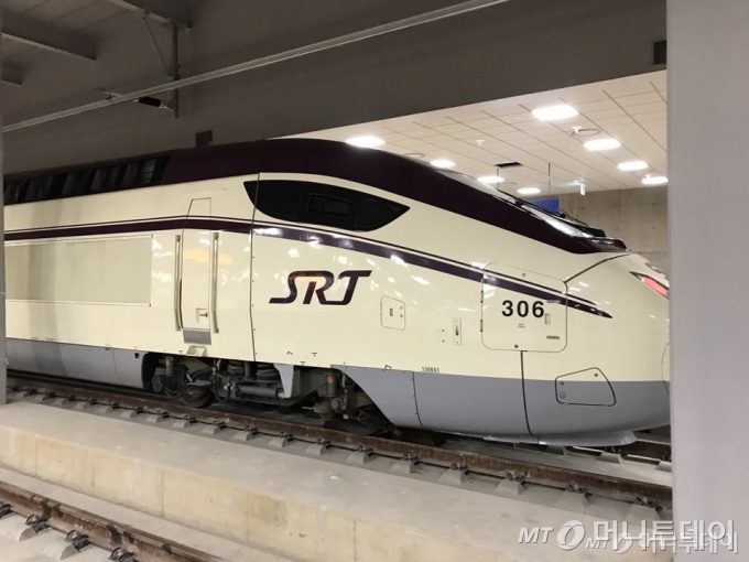 SRT. /사진=머니투데이 DB