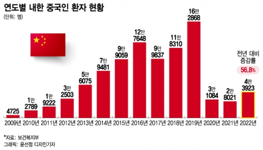한국 오면 비만치료 공짜 한국 오면 비만치료 공짜