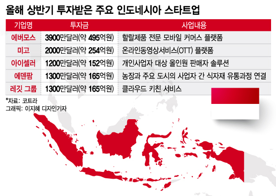 "현지 맞춤 중저가 시장에 주목" 상반기 투자받은 인니 스타트업은?