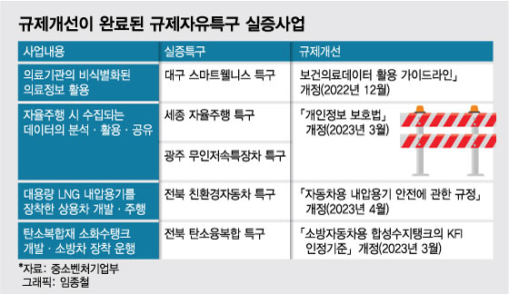 규제자유특구 덕에 의료 AI산업 '날개짓'...실증 통해 족쇄 풀었다