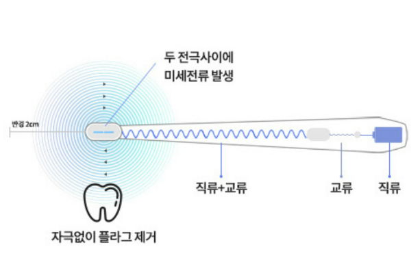 반려동물 구강건강 지키는 미세전류 칫솔 '오리즈', 오프라인 입점