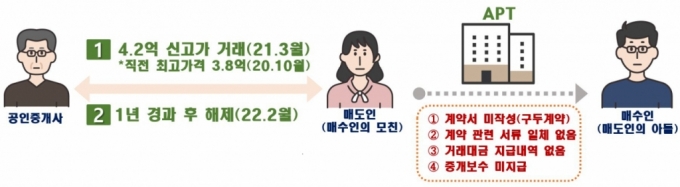 "엄마, 우리집 사줘" 17억 신고가 찍고 취소…수상한 거래 541건 적발