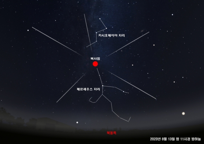 페르세우스자리 유성우 모습. / 사진제공=정남진천문과학관