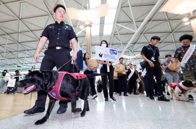  25일 인천국제공항 제1터미널 출국장에서 마약류 밀반입 예방 캠페인이 진행되고 있다. 사진은 기사와 상관 없음./사진=뉴시스