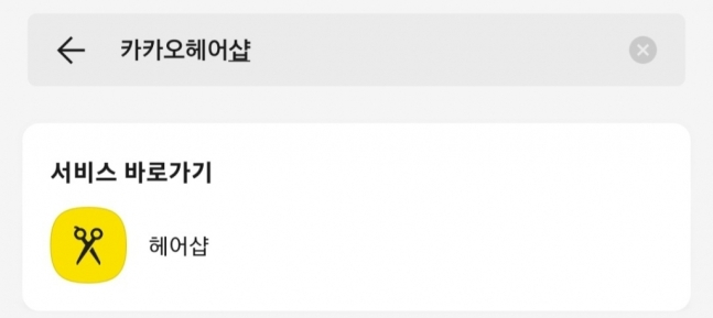 카카오톡 상단 검색창에서 &#039;카카오헤어샵&#039;을 검색하면 카카오 브랜드명을 제외한 헤어샵 예약하기 페이지가 뜬다. /사진=카카오톡 캡처