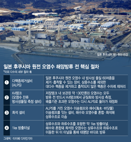 오염수 해양방류 핵심절차. / 그래픽=이지혜 디자인기자