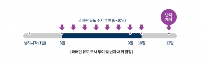 난자를 얼리려는 여성의 과배란 유도제 투여 스케줄. /그림=차병원