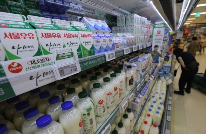 [서울=뉴시스] 김금보 기자 = 원유 가격이 인상되면서 흰 우유 판매가격이 1리터에 3000원을 넘길 것으로 전망되고 있다. 29일 서울 시내 한 대형마트에서 손님들이 우유 상품을 살펴보고 있다. 2023.08.29.