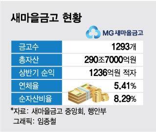 [단독]새마을금고 합병가능성 6곳..."예금자·출자자는 문제 없어"