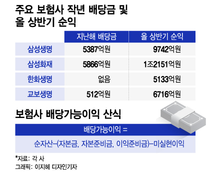 은행만큼 돈 벌고도 배당 못한다? 보험사 IFRS發 '배당쇼크'