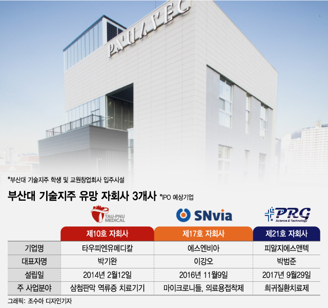 "탈부산 막자"…매출 5억→63억 대박 '창업 성지'로 뜨는 영도