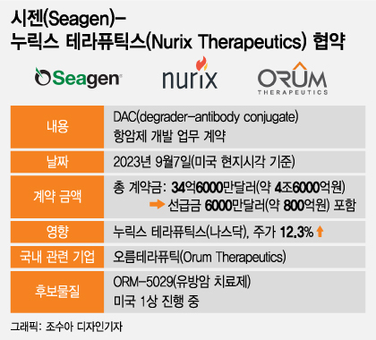 ADC 선도기업 4.6조 투자한 '이 기술', 오름테라퓨틱 도전 빛보나