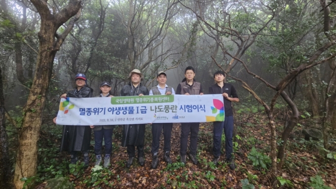 신안군이 국립생태원과 공동으로 나도풍란 200개체를 흑산면 가거도에 시험 이식했다./사진제공=신안군