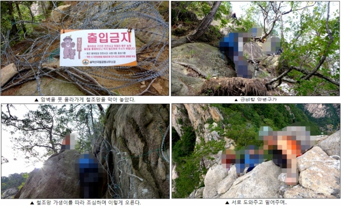 설악산 입산 금지 구역을 오르고 있는 무리. /사진=온라인 커뮤니티