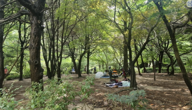 북한산 국립공원 도봉산에서 여유를 즐기는 도시민들의 모습./사진제공=국립산림과학원
