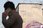7일 오후 경기 성남시 분당구 판교 위메이드 본사 앞으로 시민들이 지나가고 있다. 2022.12.7/뉴스1 ⓒ News1 김영운 기자
