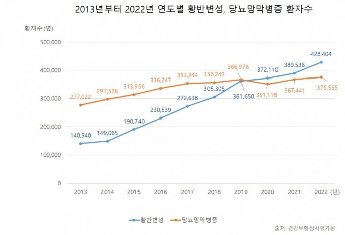 2013~2022년 연도별 황반변성, 당뇨망막병증 환자 수./사진=김안과병원