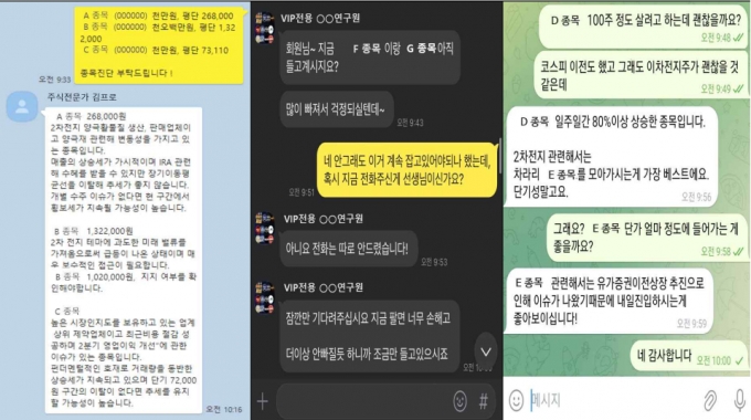 금감원이 적발한 유사투자자문업체의 불법 리딩방 1:1 투자자문 사례. /사진제공=금융감독원