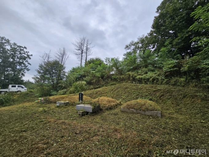 지난 26일 경기 포천시 신북면 기지리의 야산 속 묘. 포천시산림조합이 벌초 도우미 의뢰를 받고 이날 오전 벌초를 진행하고 있다. 벌초가 완전히 끝나기 전의 사진./사진=정세진 기자