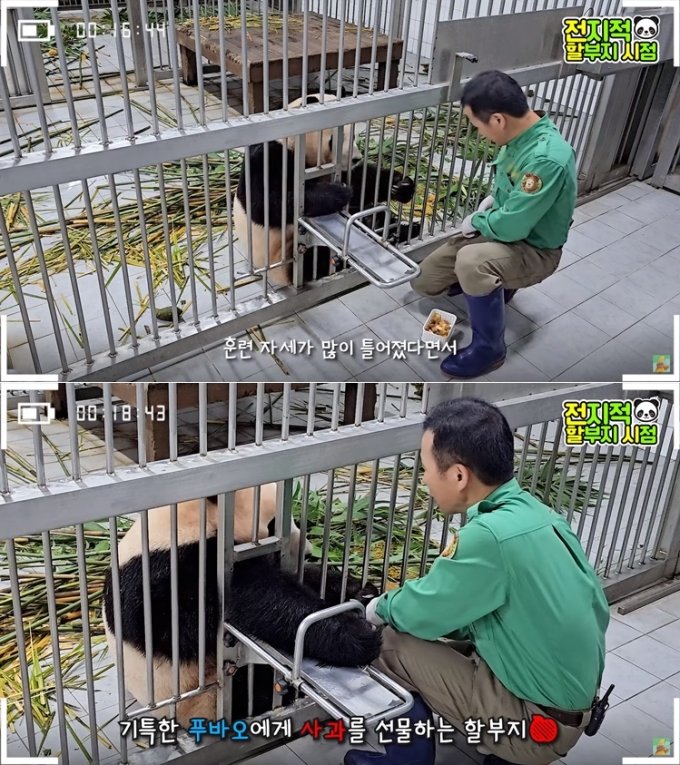 /사진=유튜브 채널 &#039;말하는동물원 뿌빠TV&#039;