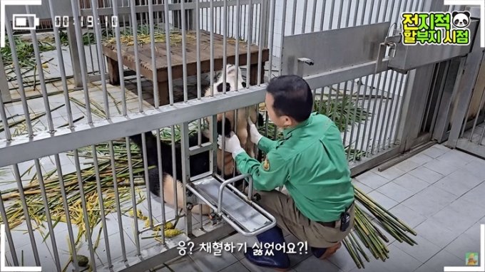 /사진=유튜브 채널 &#039;말하는동물원 뿌빠TV&#039;