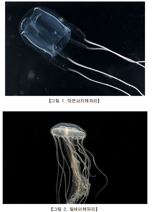 자료사진=KIOST 제공