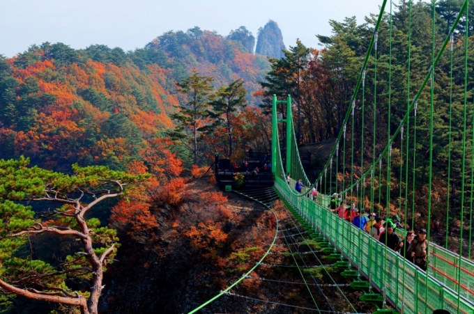 청량산 가을(하늘다리)./사진제공=봉화군