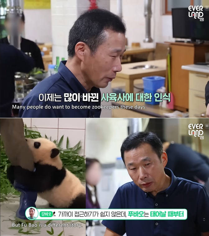 /사진=유튜브 채널 '에버랜드'