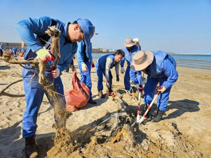 23일 포스코퓨처엠 포항 본사 임직원이 청림해변에서 해양쓰레기 수거활동을 진행하는 모습 /사진=포스코퓨처엠