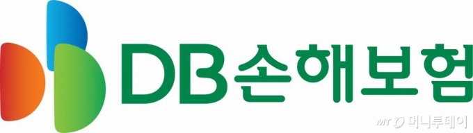 DB손해보험, 안정적인 자본비율과 배당 확대 가능성에 주목-신한