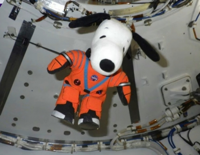 미국항공우주국(NASA)의 오리온 우주선에 탑승한 스누피. 스누피는 우주선이 무중력 상태에 도달할 때 공중에 떠오르는 '무중력 지표'(Zero-Gravity Indicator)로 활용됐다. /사진제공=미국항공우주국(NASA)