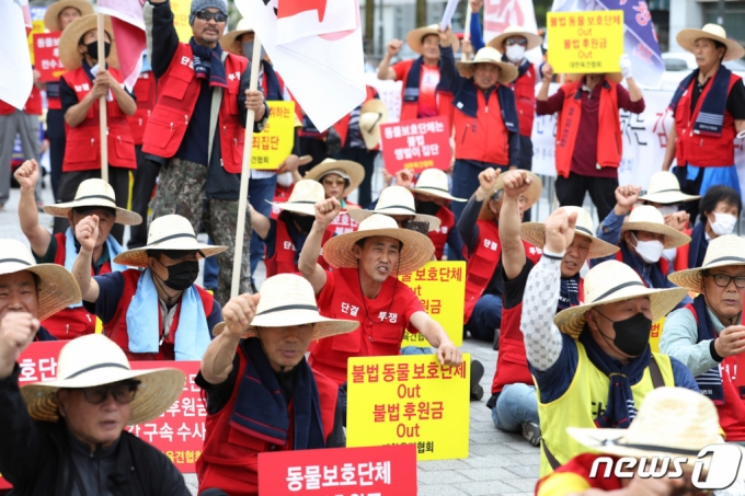 (서울=뉴스1) 김민지 기자 = 대한육견협회 회원들이 8일 서울 용산구 전쟁기념관 앞에서 열린 개식용 반대 규탄 집회에서 생존권 보장을 촉구하고 있다. 2023.6.8/뉴스1 Copyright (C) 뉴스1. All rights reserved. 무단 전재 및 재배포 금지.