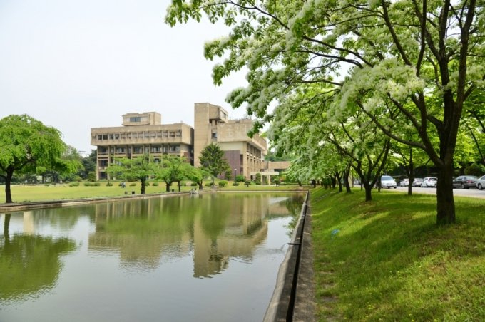 1966년 설립된 한국과학기술연구원(KIST) 서울 본원. 본원에 흰 꽃이 쌀밥처럼 보인다는 이팝나무가 곳곳에 있다. 설립 당시 과학기술로 가난한 국민의 배를 채운다는 염원을 담아 식수했다고 한다. / 사진=한국과학기술연구원(KIST)