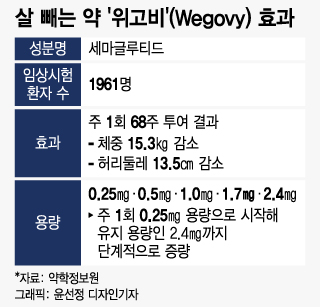 한방에 몸무게 15㎏ '쏙' 주사 일본은 37만원 출시…한국은?