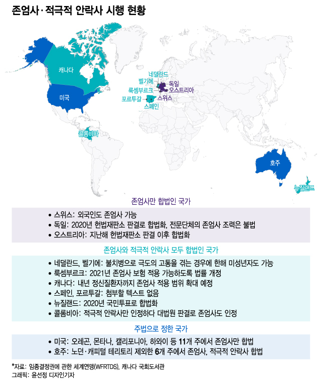 /그래픽=윤선정 디자인기자