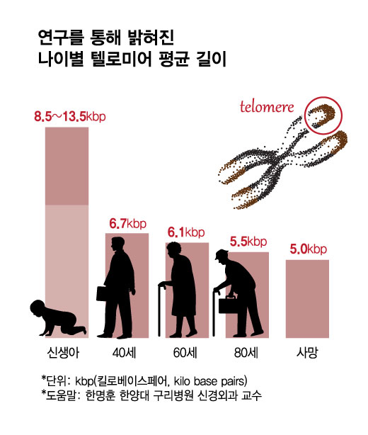 노화 해결할 열쇠?…"젊어질 수 있다면" 주사 맞으러 일본행까지