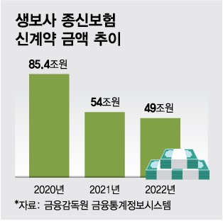 올해도 '종신보험' 과열?···이번엔 유지환급률 130%까지↑