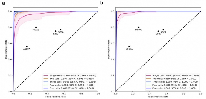 패혈증을 진단하고 예후를 예측하기 위한 AI 모델의 예측 정확도를 분석한 결과, AUROC가 진단 영역(a)에서는 하나의 세포만을 통해 0.96(96%), 예후 예측 영역(b)은 0.98(98%)의 성능이 나왔고, 두 개의 세포를 활용해 예측을 하는 경우 두 영역 모두 0.99 (99%) 이상의 높은 예측 성능을 보였다./그림=연세대 의대 및 세브란스병원 공동 연구팀 