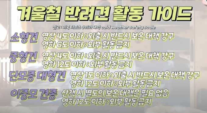 /사진=윤샘의 강아지 상담소 유튜브 채널