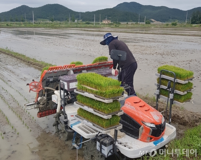 앵무리진구네 하진구 대표가 쌀 농사를 하는 모습. /사진=앵무리진구네