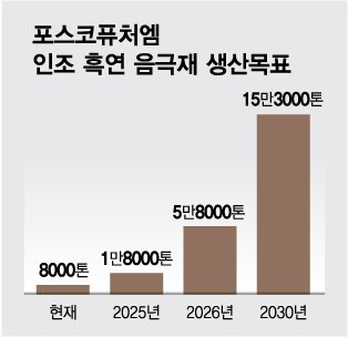 K-배터리 '탈중국' 열쇠 쥔 포스코퓨처엠…"문제는 가격"