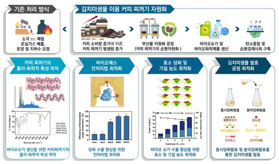 김치미생물로 커피찌꺼기서 '젖산' 생산…年 100억 비용 절감