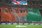 코트디부아르 팬들의 응원 모습. /AFPBBNews=뉴스1