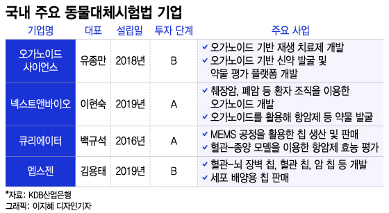 /그래픽=이지혜 디자인기자